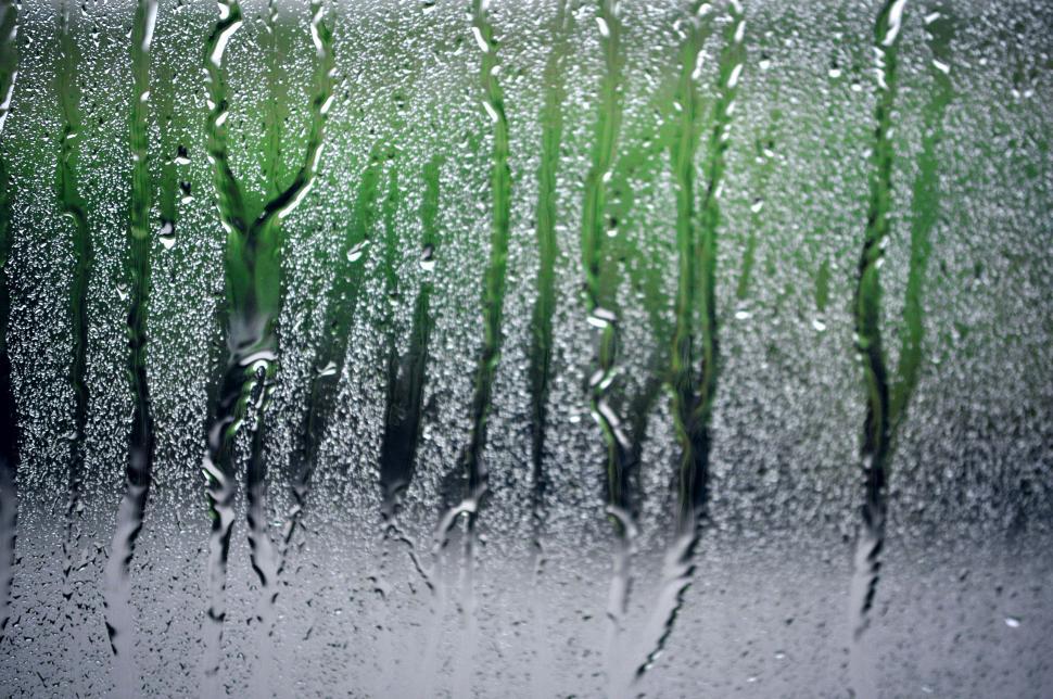Free Image of rainpattern4.jpg 