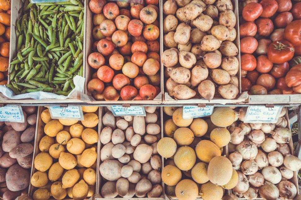 Free Image of Fruits and Vegetables on Display  