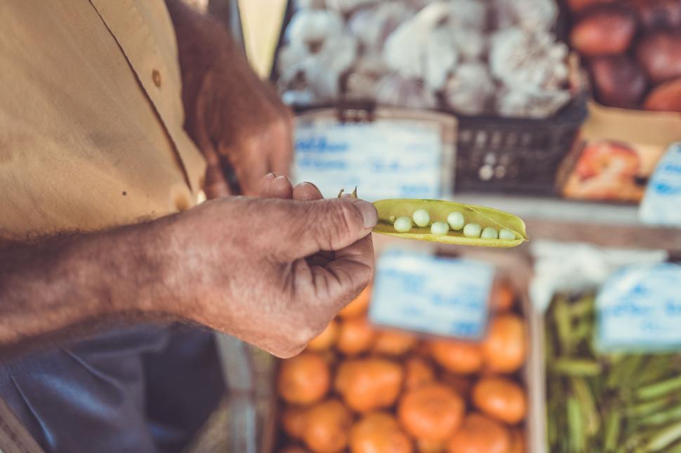 Free Image of Green Pea Seeds  