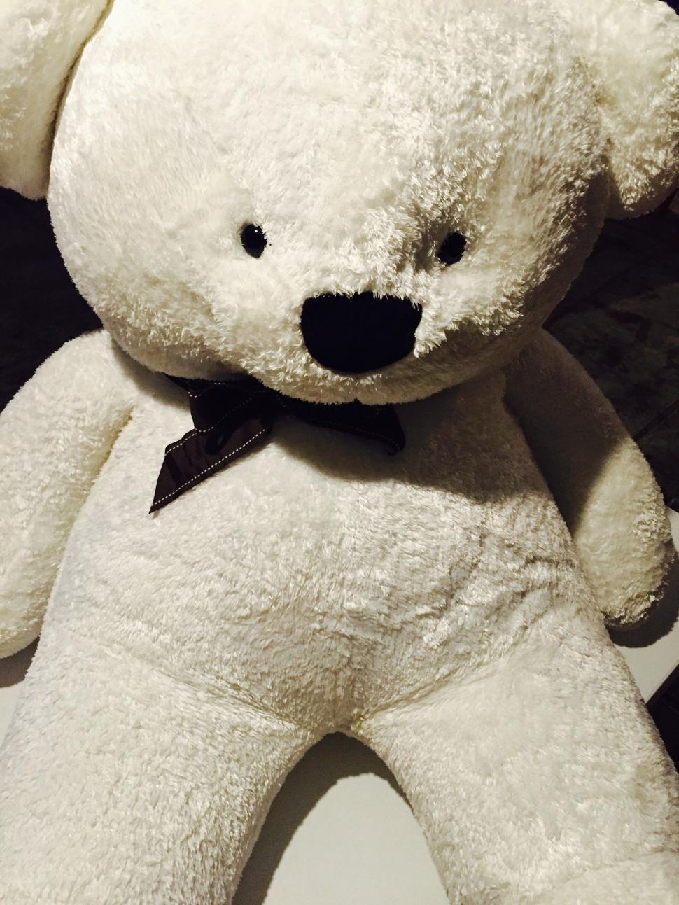 Free Image of Teddy Bear  