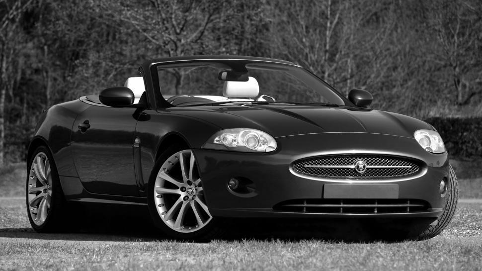 Free Image of Convertible Car  