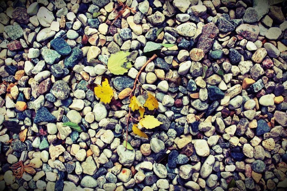 Free Image of Pebble Stone - Texture  