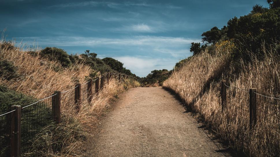 Free Image of Fence and dried grass  