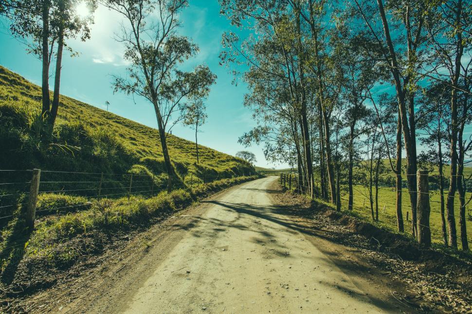Free Image of Empty Forest Path  