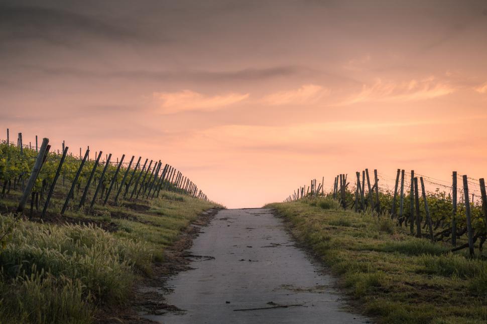 Free Image of Narrow Road Along Countryside 