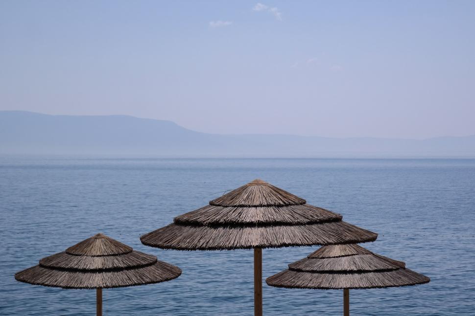 Free Image of Thatched canopy roofing in a resort  