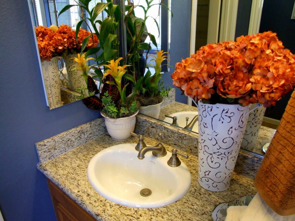 Free Image of Bathroom 
