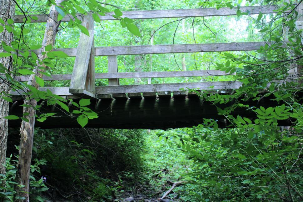 Free Image of Wooden Bridge and Trees  