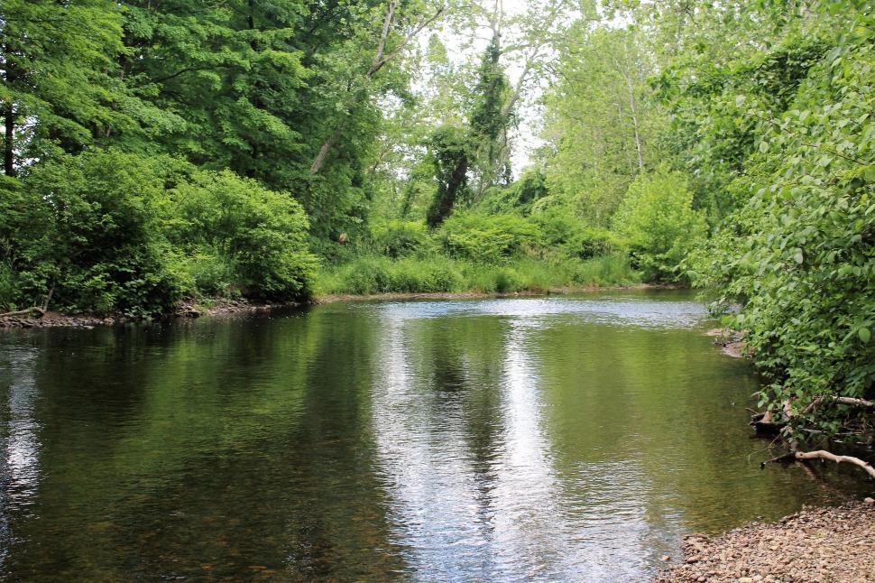 Free Image of Clear Water River with Reflection  