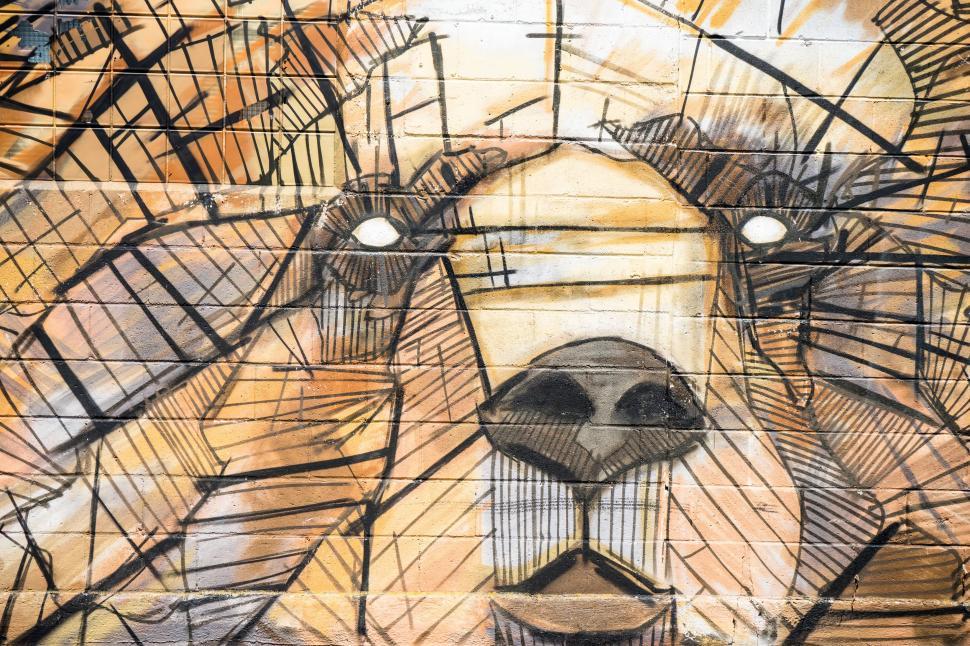Free Image of Graffiti on Wall 