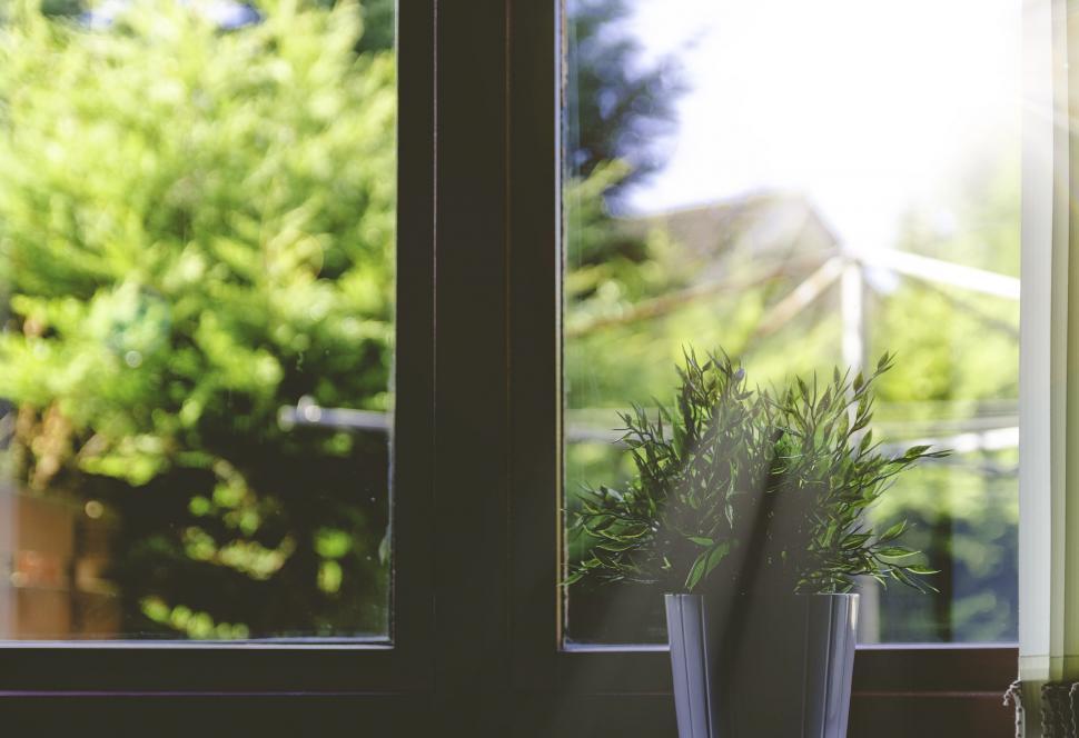 Free Image of Flowerpot at window  