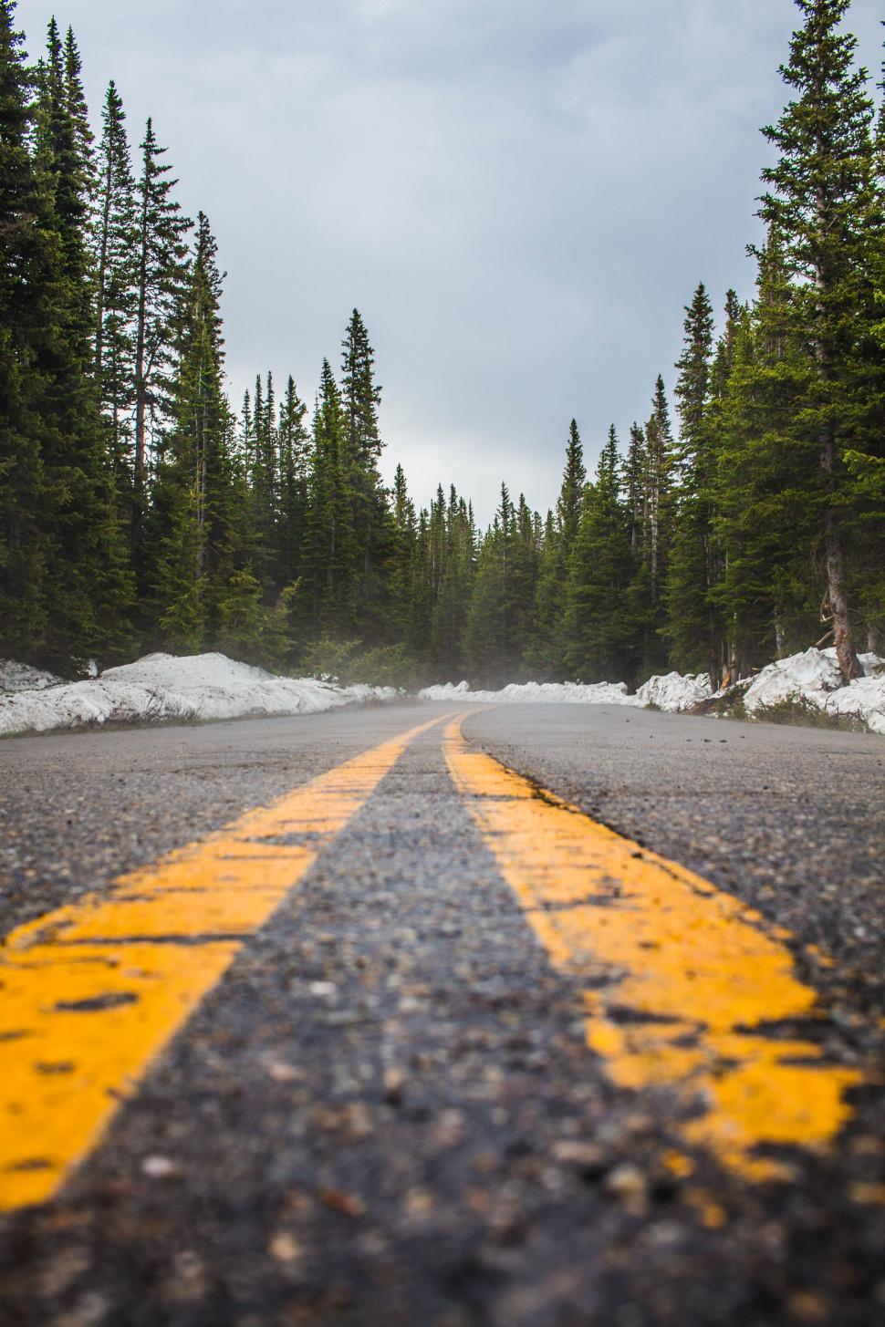 Free Image of Close up of road with yellow lines  