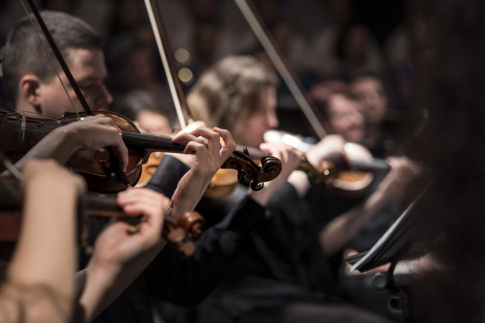 Free Image of Performance of violinists 