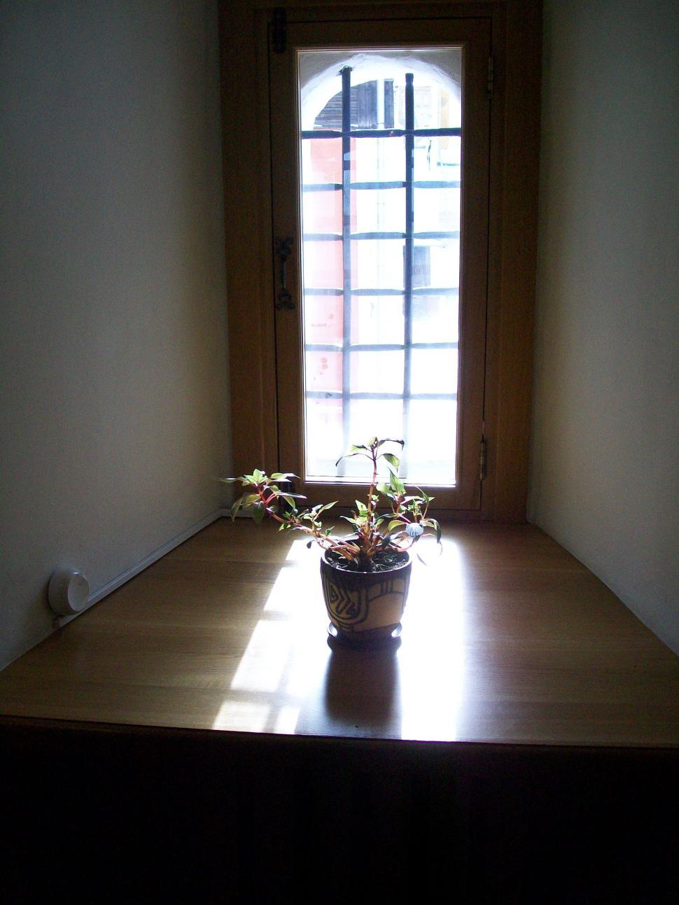Free Image of Flowerpot near door  