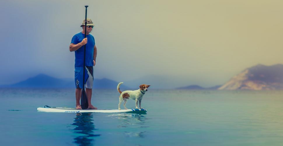Free Image of Stand up paddling with dog 