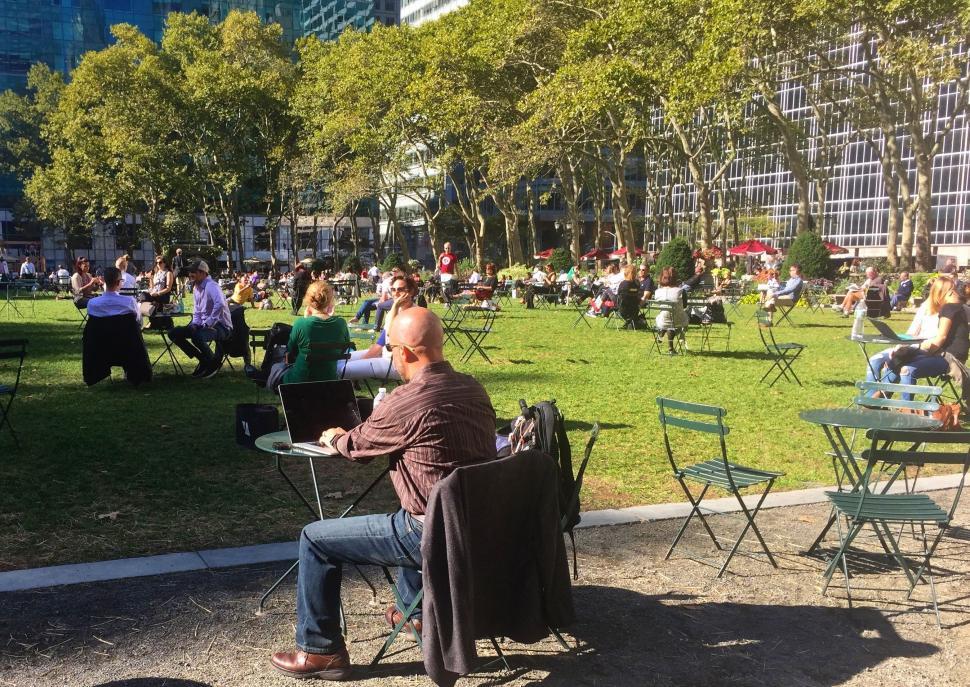 Free Image of People Working in Park - New York City  