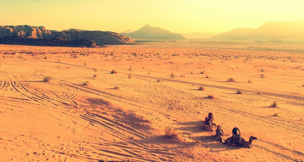 Free Image of Camel Safaris on African Desert  