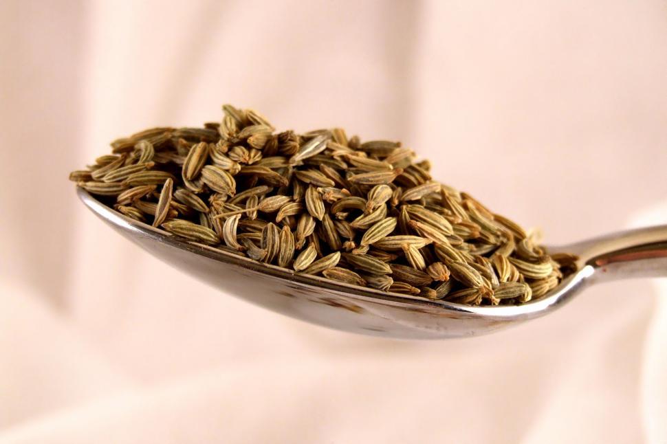 Free Image of Spice of Life/Fennel Seeds 