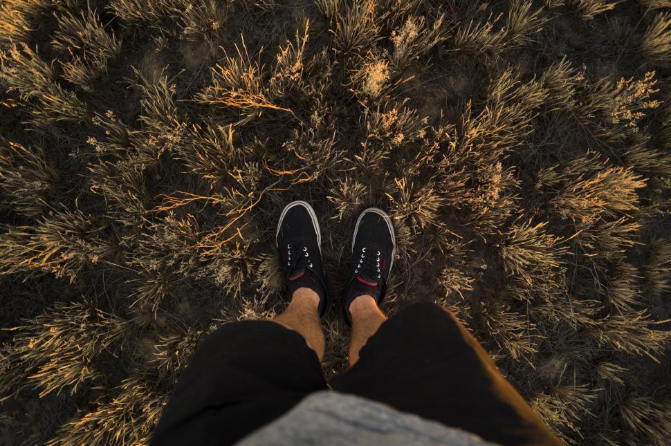 Free Image of Sneakers in Feet - Looking Down  