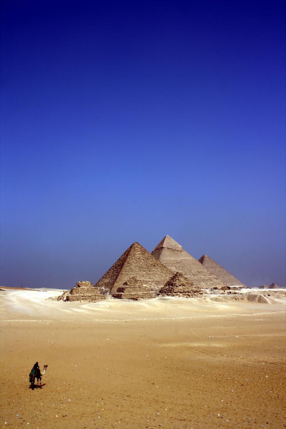 Free Image of Camel near pyramids in hot desert of Egypt 