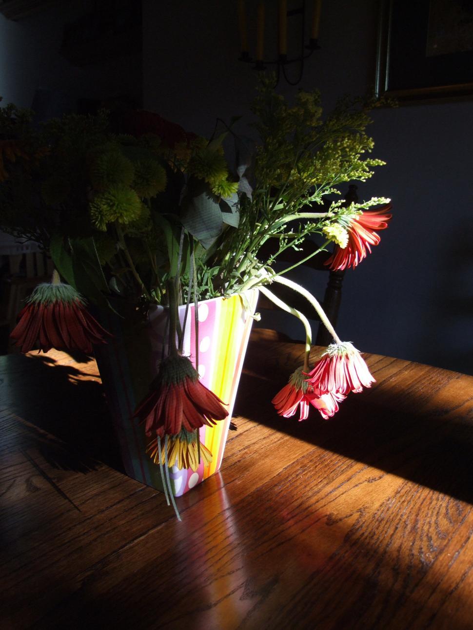 Free Image of Flowers Need Love 