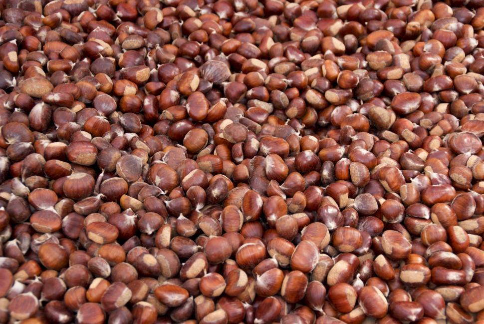 Free Image of Chestnuts 