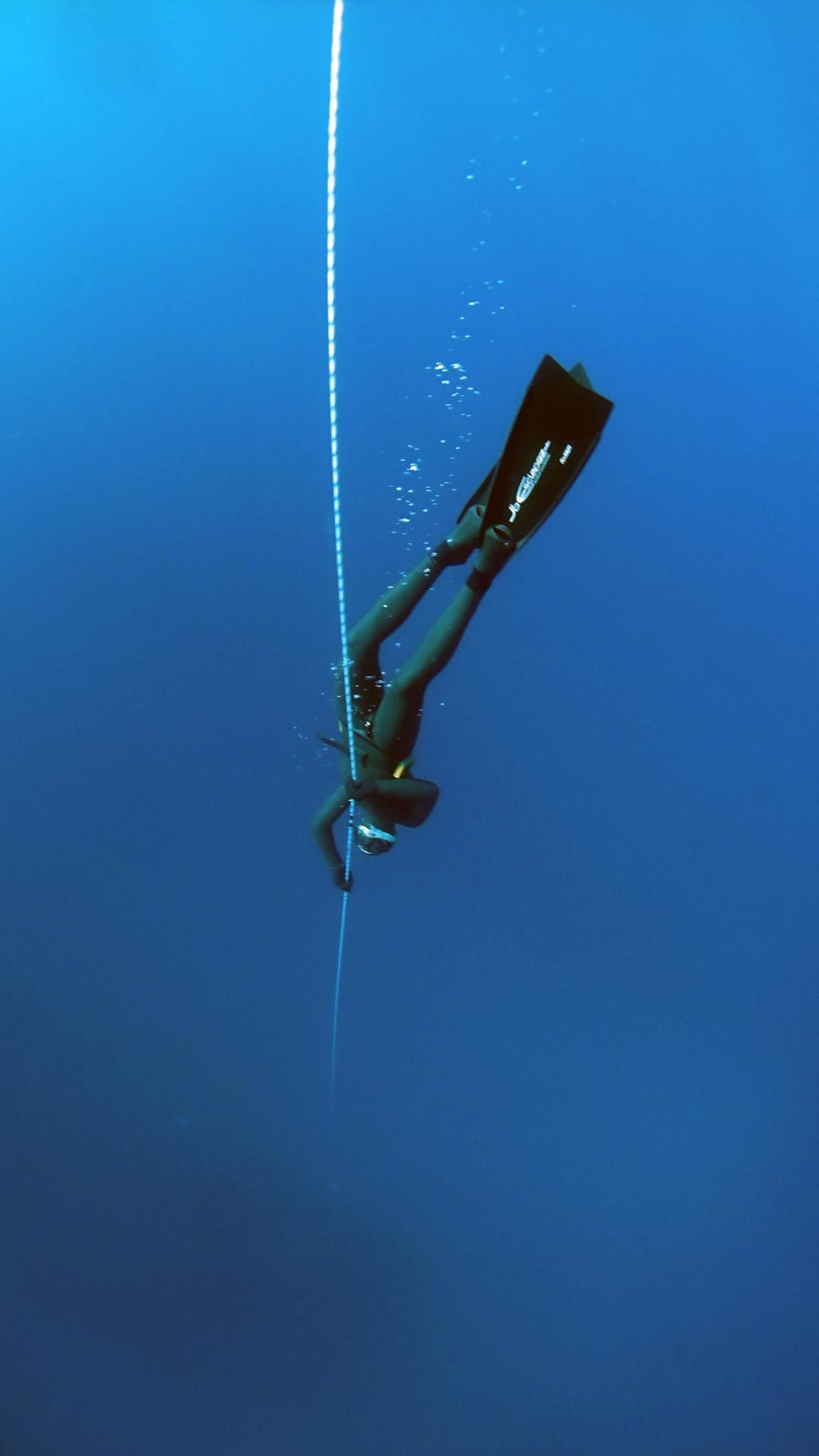 Free Image of Scuba Diving  