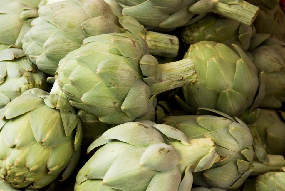 Free Image of Fresh From The Farmes Market 
