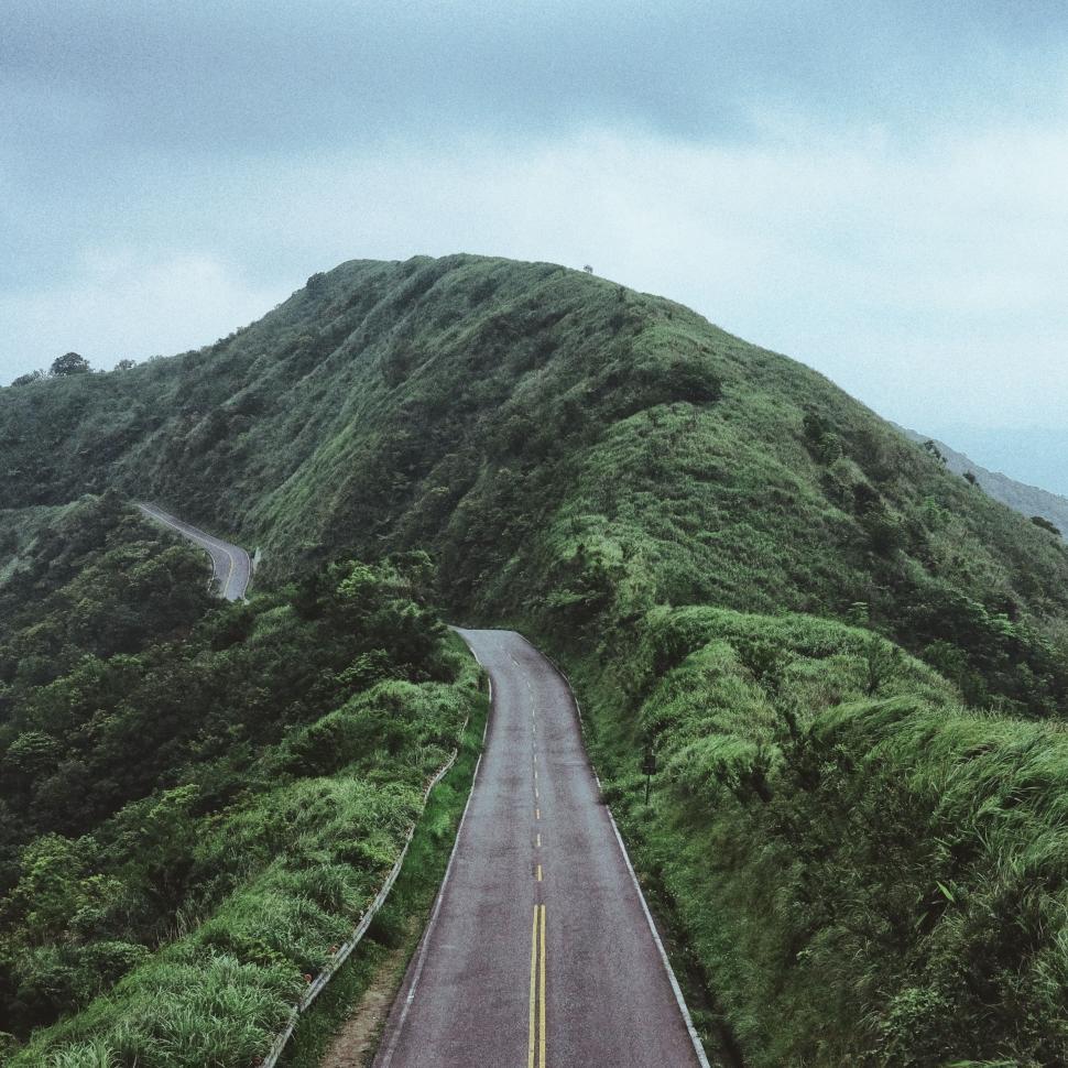 Free Image of Empty Forest Road  