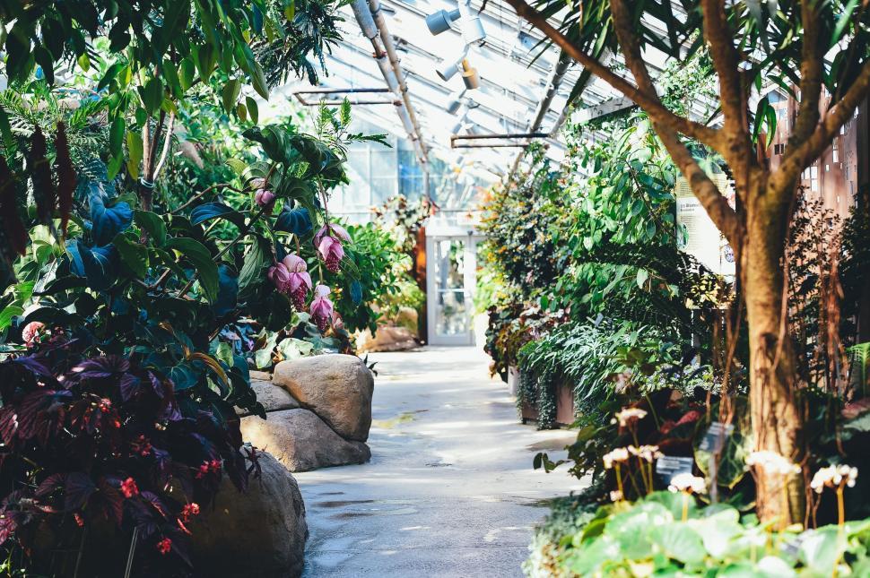 Free Image of Greenhouse  