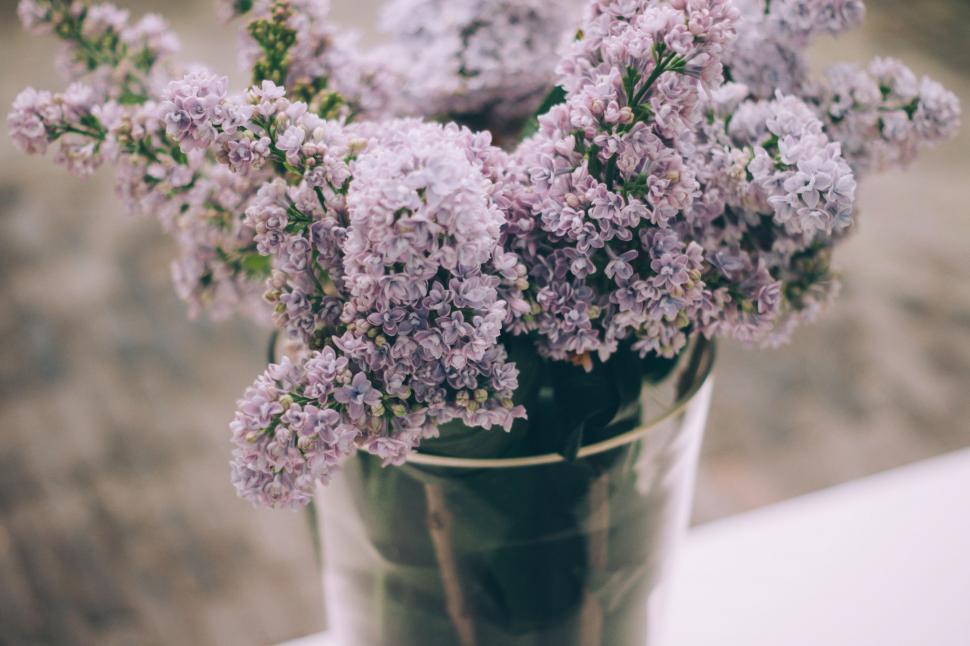 Free Image of Flower Vase  