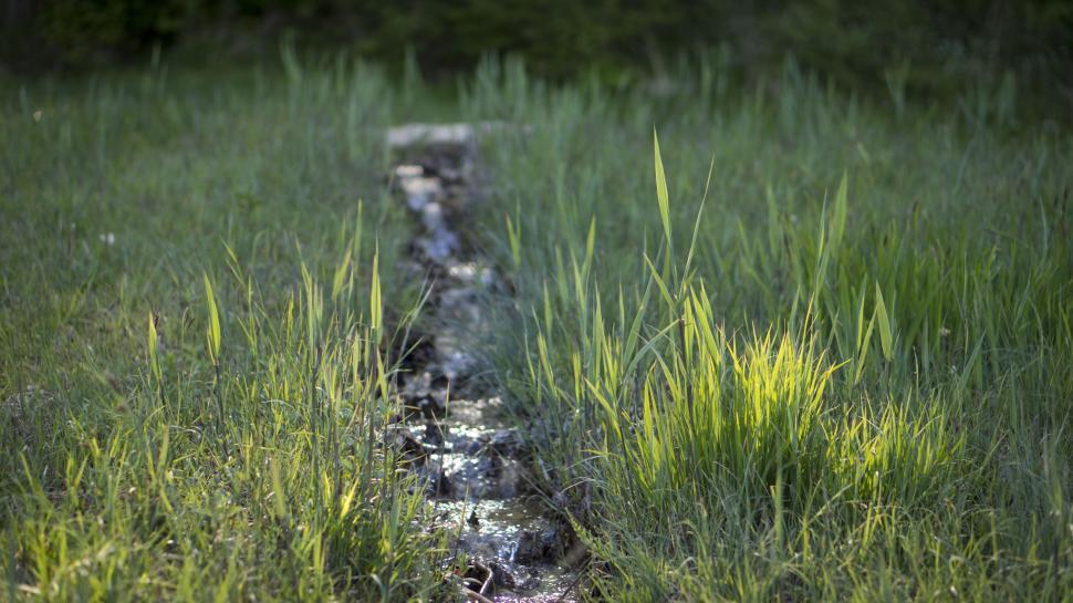 Free Image of Stream in Farmland  