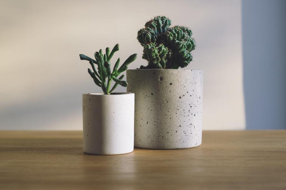 Free Image of Two Flower Pots  