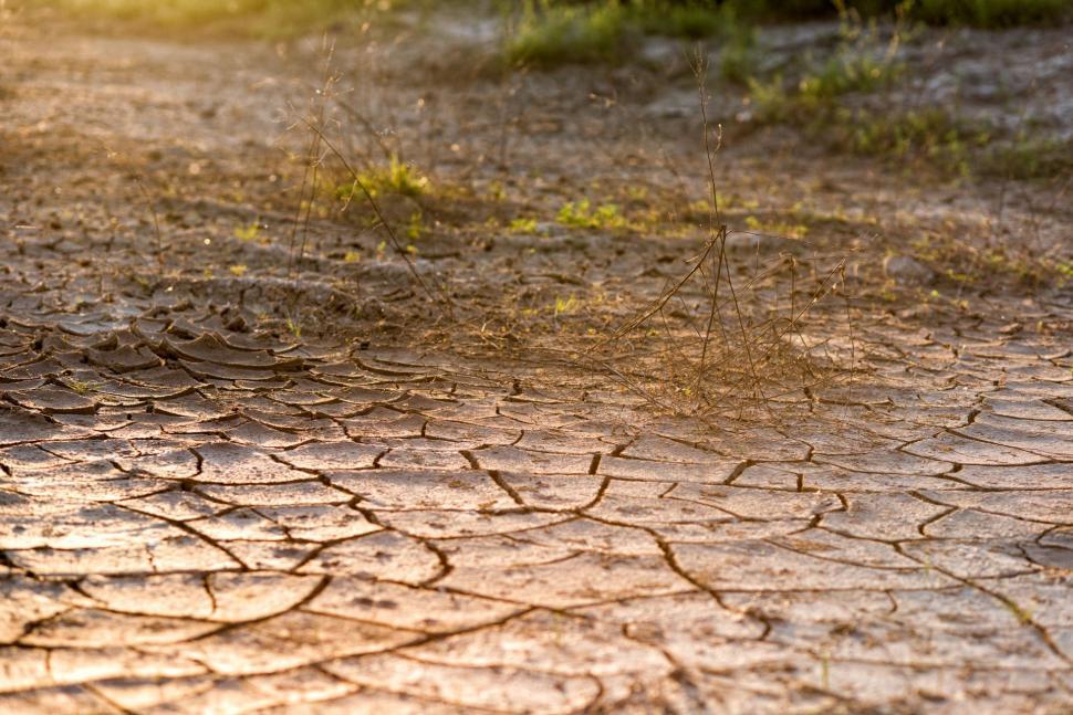 Free Image of Mud-cracks 
