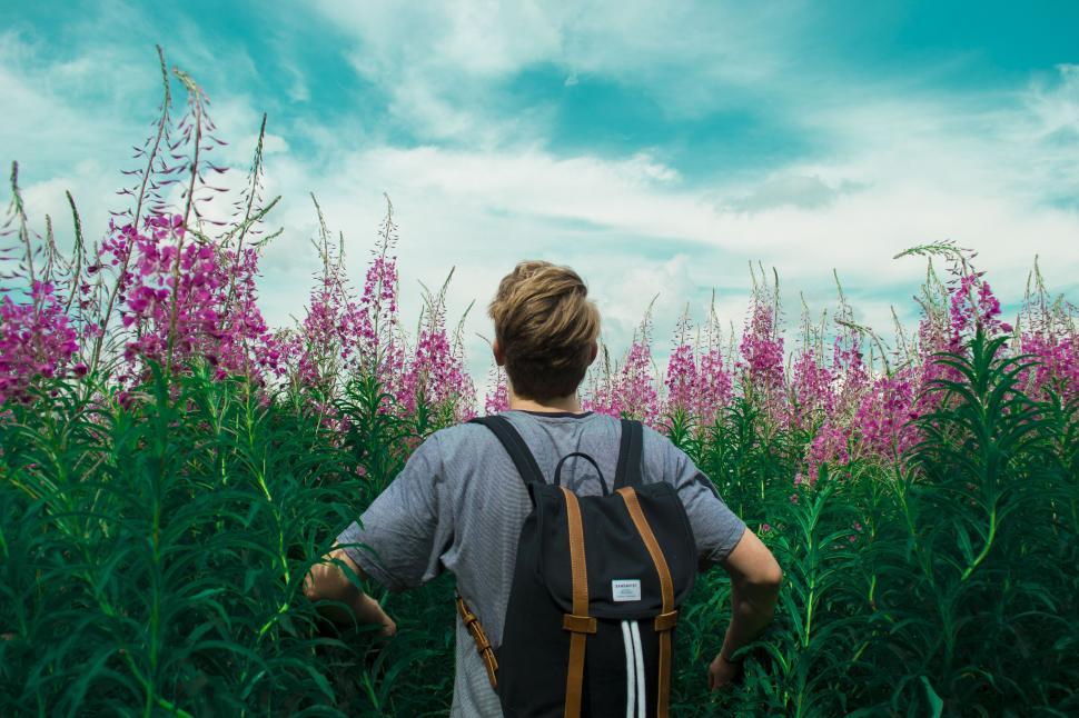 Free Image of Back Side View of Single Caucasian Man in Pink Flower Garden 