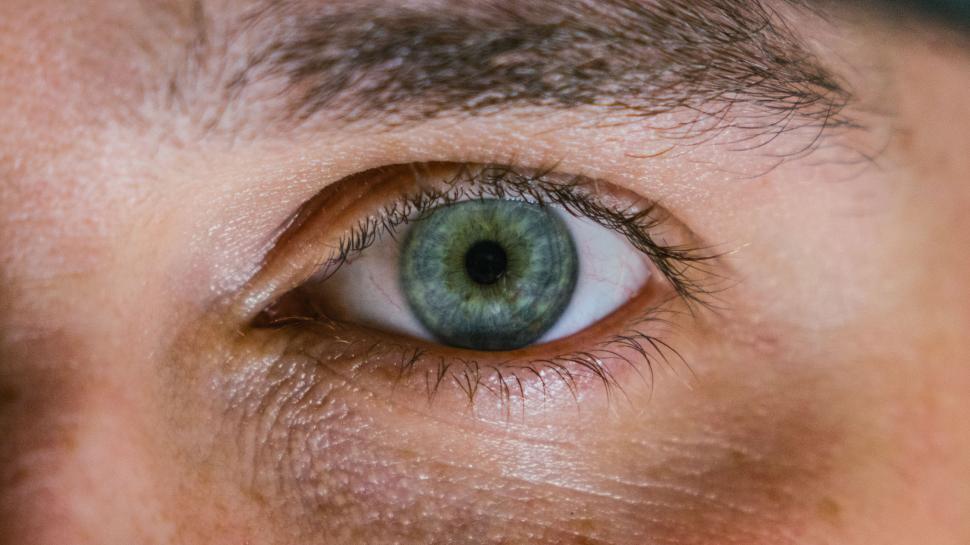 Free Image of Open Eye  
