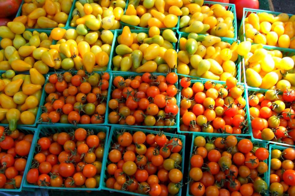 Free Image of Baby Tomatos 