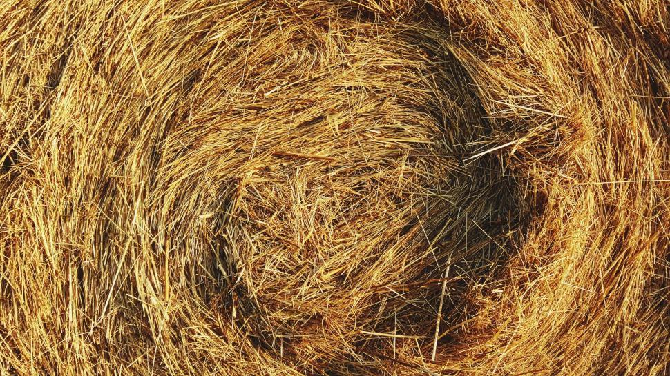Free Image of Haystack 