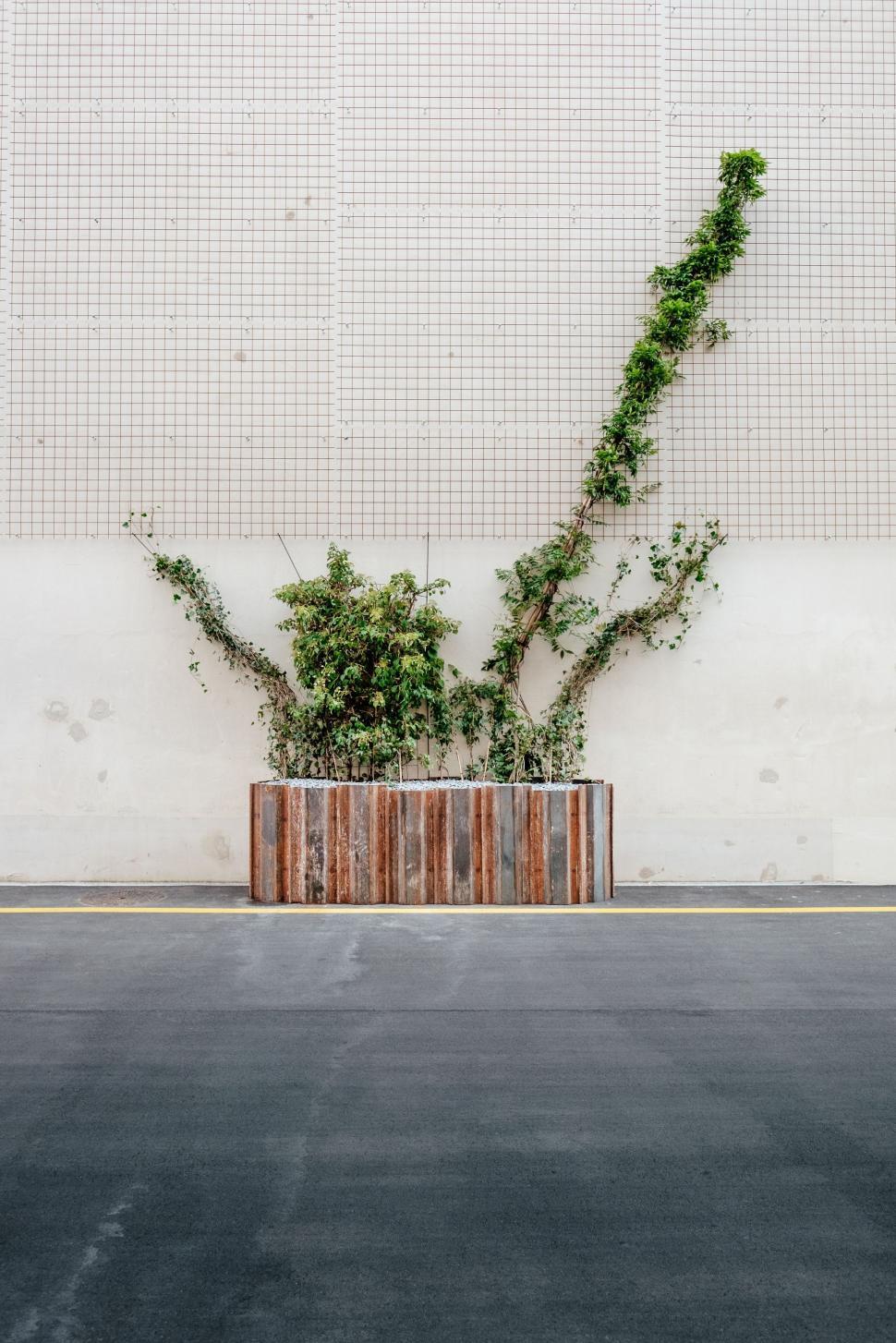 Free Image of Plant Box  