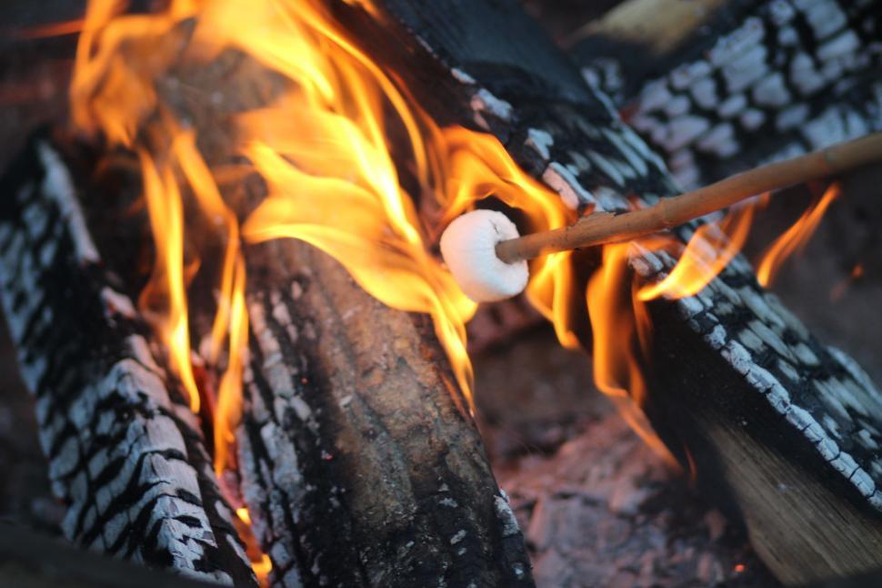 Free Image of Roasting Marshmallow 