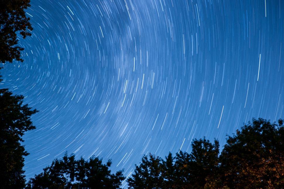 Free Image of Stars trail and Trees  