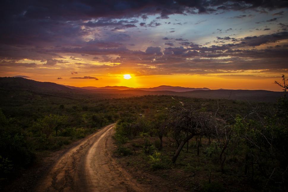 Free Image of Forest Pathway and Sun  