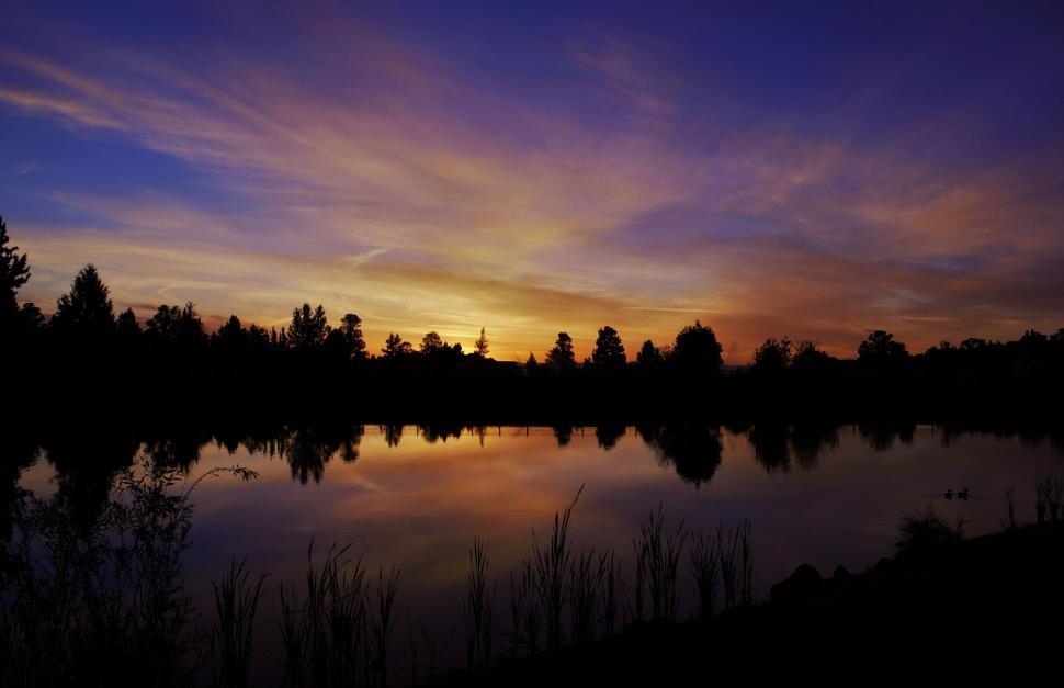 Free Image of Silhouette of trees with lake 