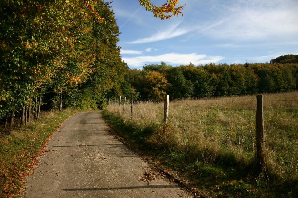 Free Image of Countryside road 