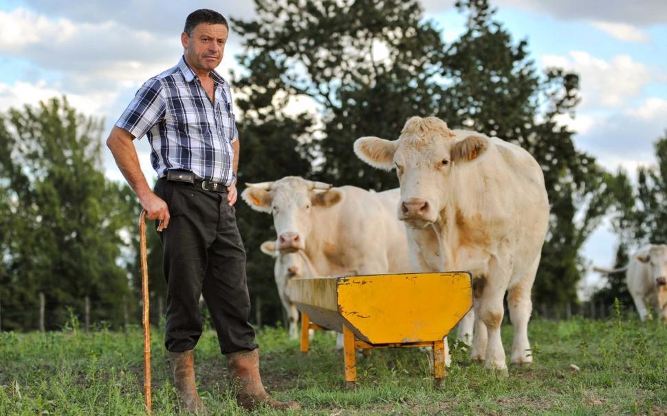 Free Image of Farmer with Cows  