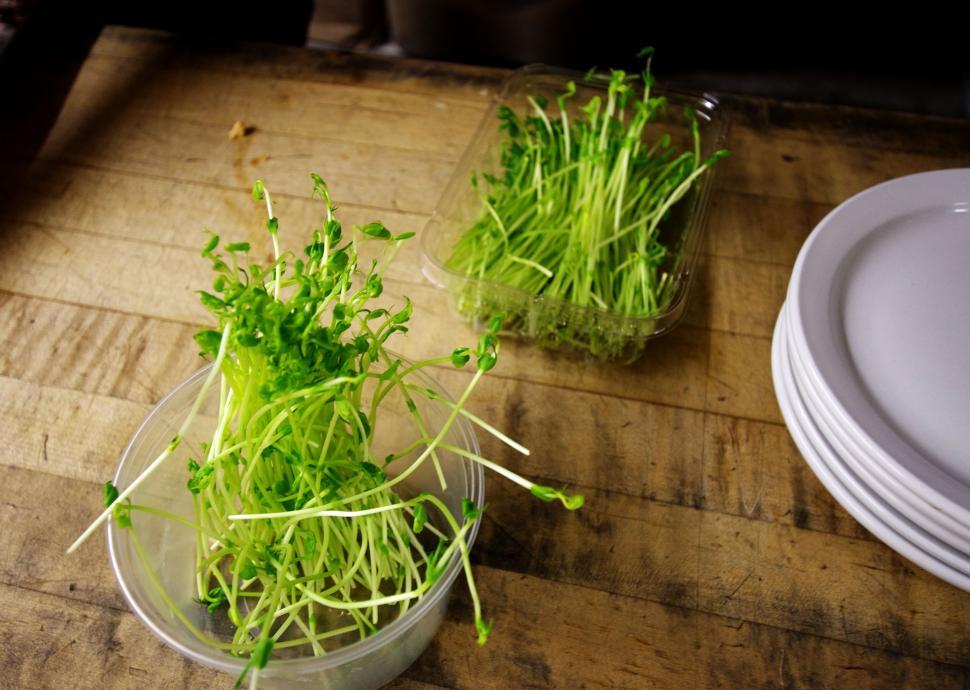 Free Image of Mung bean sprouts 