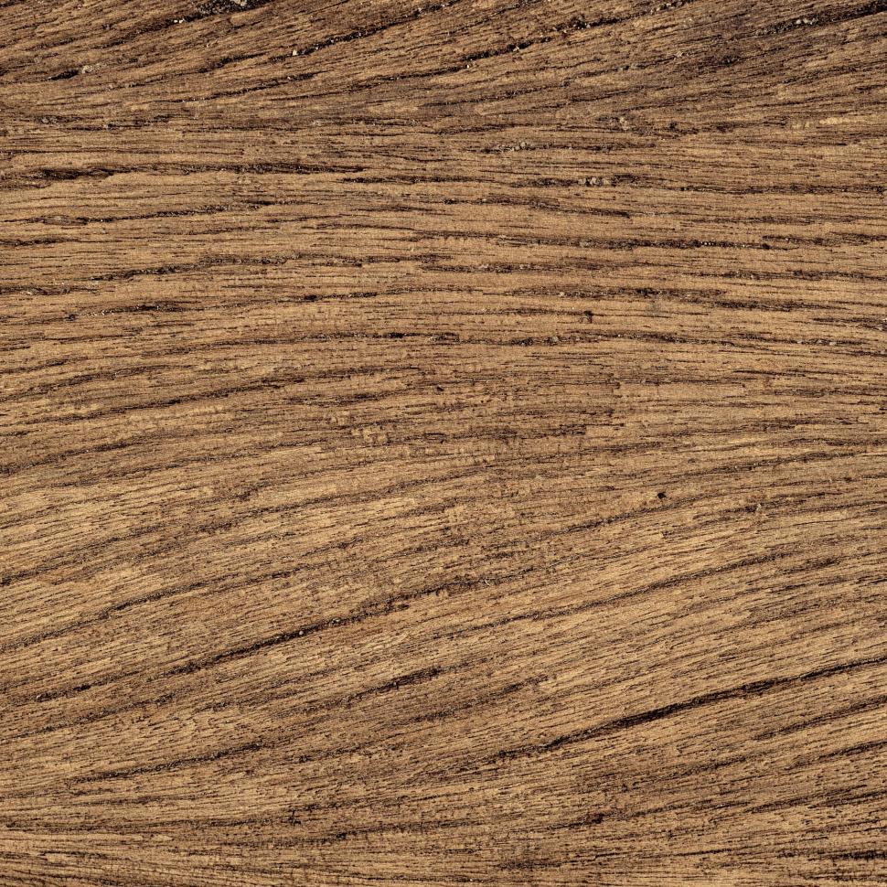 Free Image of Tree Stump Wood  