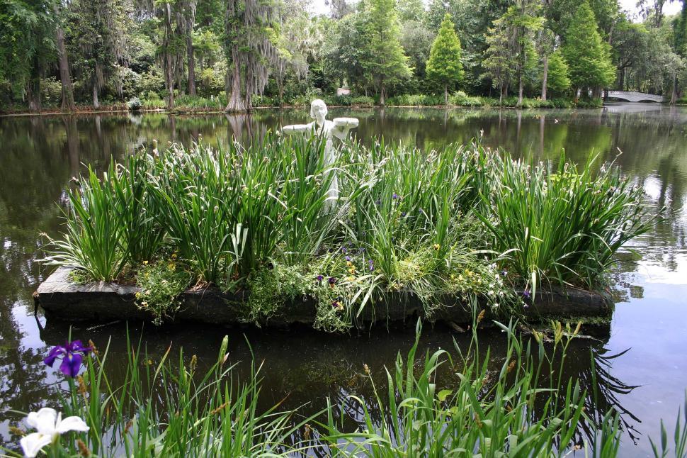 Free Image of Sculpture and lilies 
