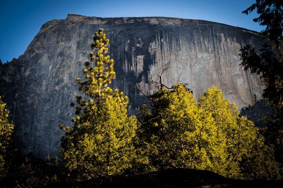 Free Image of Rock Mountain and Trees  
