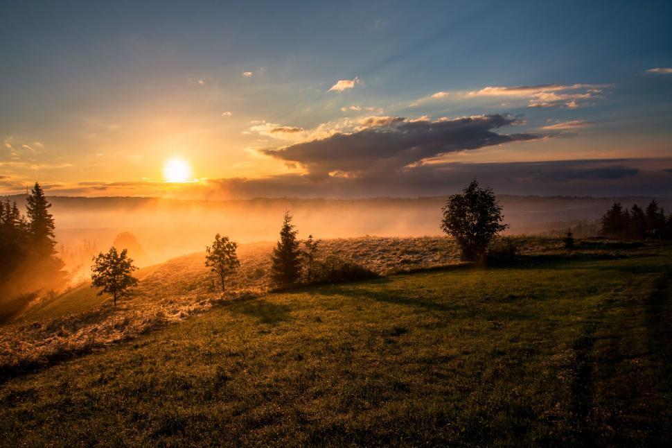 Free Image of Sunrise and grass 